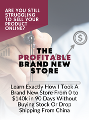 The Profitable Brand New Store - PrivDownloads