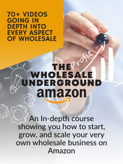 The Wholesale Underground - Amazon - PrivDownloads