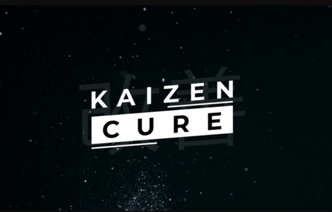 Mentoring by Kaizen Cure - PrivDownloads
